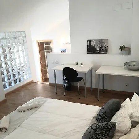 Apartamento Atico Duplex Luminoso